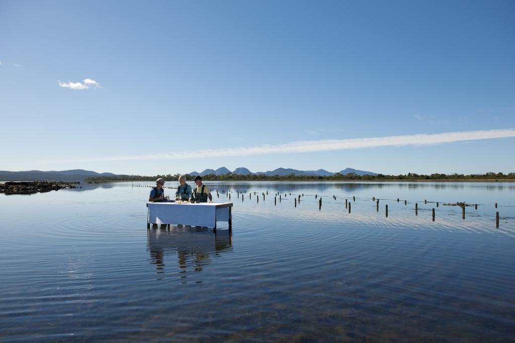 Saffire - Freycinet Ξενοδοχείο Coles Bay Εξωτερικό φωτογραφία